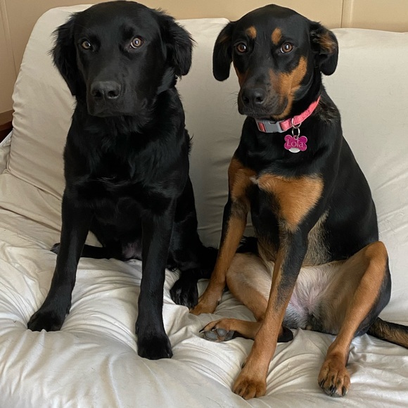 Meet your Posher, Angela - Picture 1 of 1